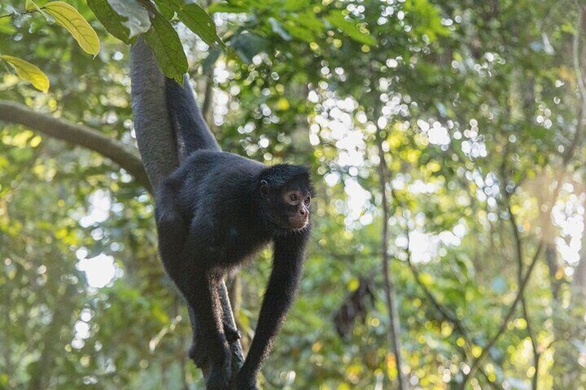 3 Days Sandoval Tour Jungle Adventure in Puerto Maldonado