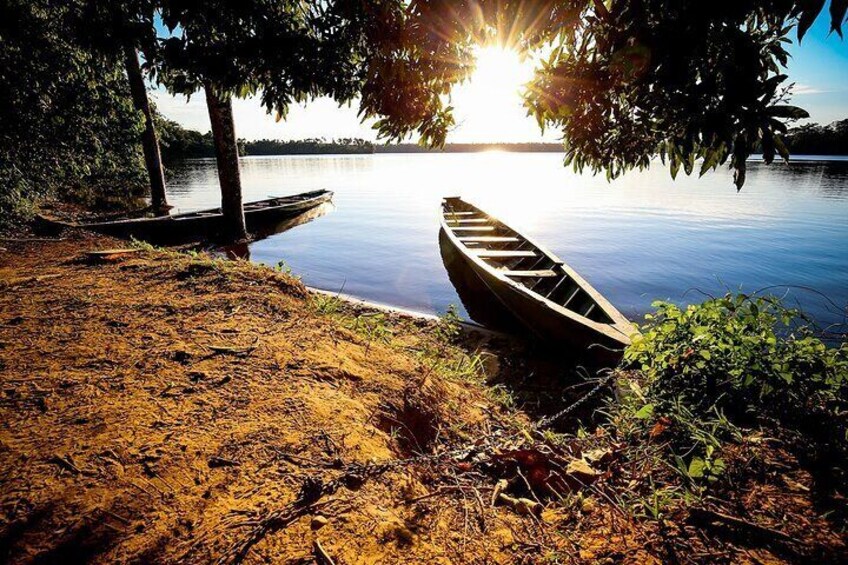 3 Days Sandoval Tour Jungle Adventure in Puerto Maldonado