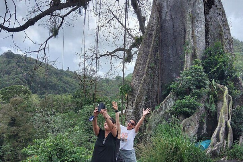 Full Day Tour in Tobago Island with Lunch 