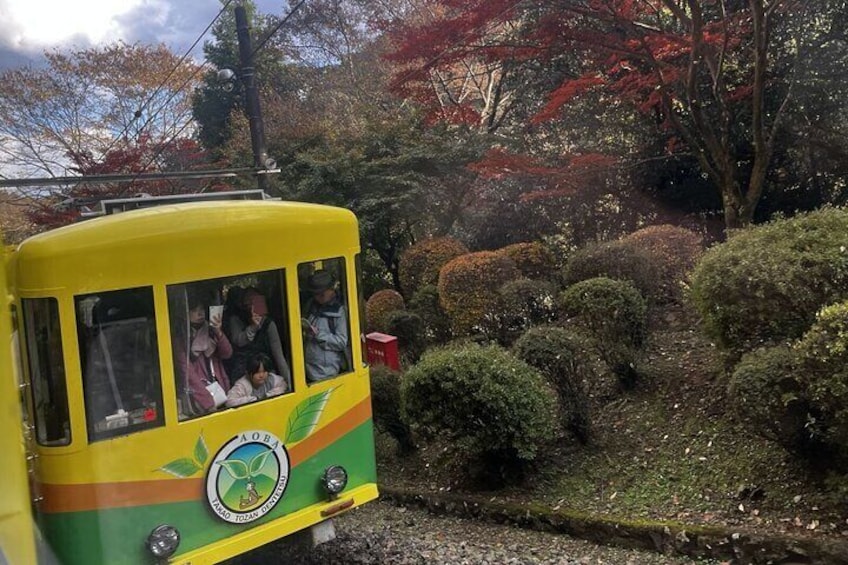 Mount Takao Nature Adventure and Tradition in Tokyo