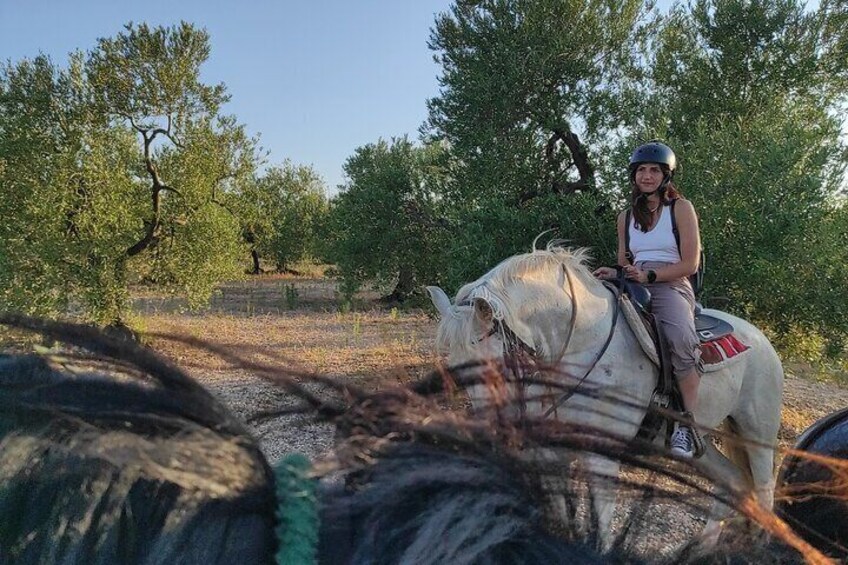 Hiking and horseback riding adventures