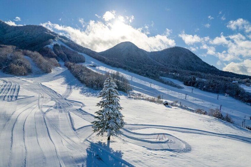 1 Day Tour Traditional Igloo Kamakura Festival and Snow Fun