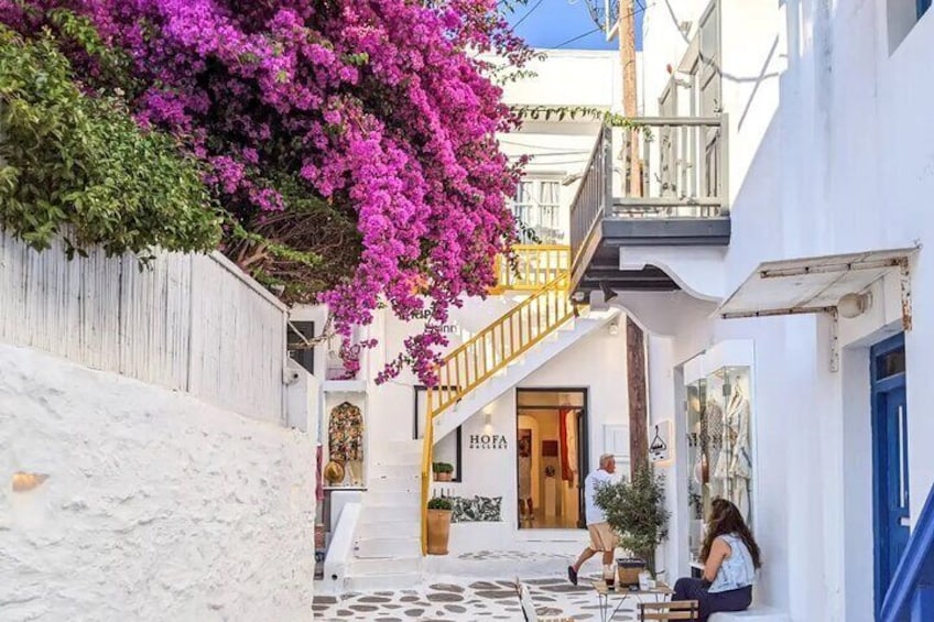 Small Group Mykonos Town Tour for Cruise Passengers Highlights