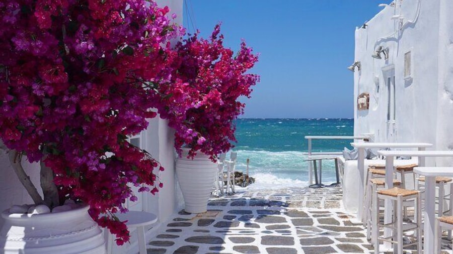 Small Group Mykonos Town Tour for Cruise Passengers Highlights