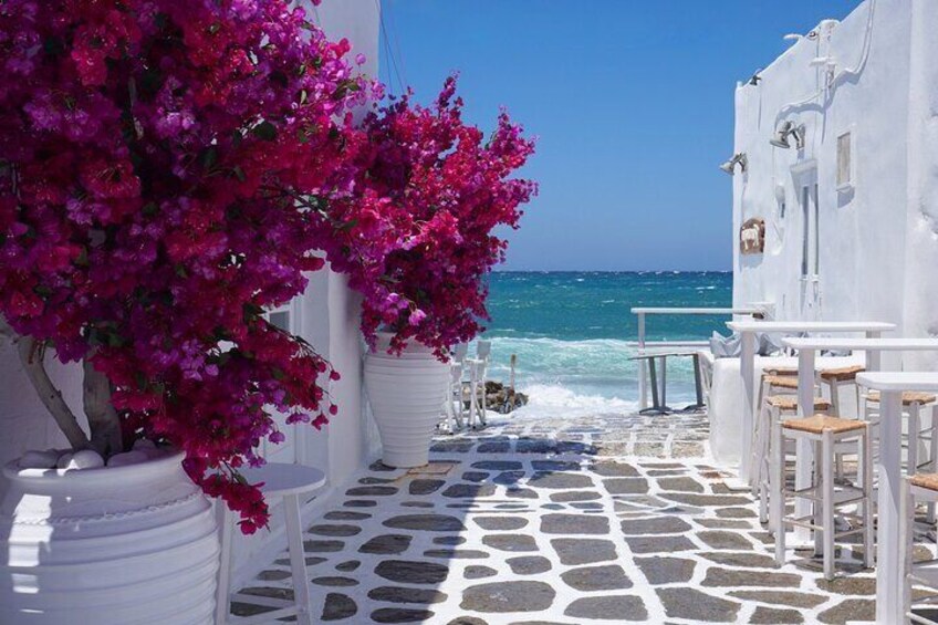 Small Group Mykonos Town Tour for Cruise Passengers Highlights