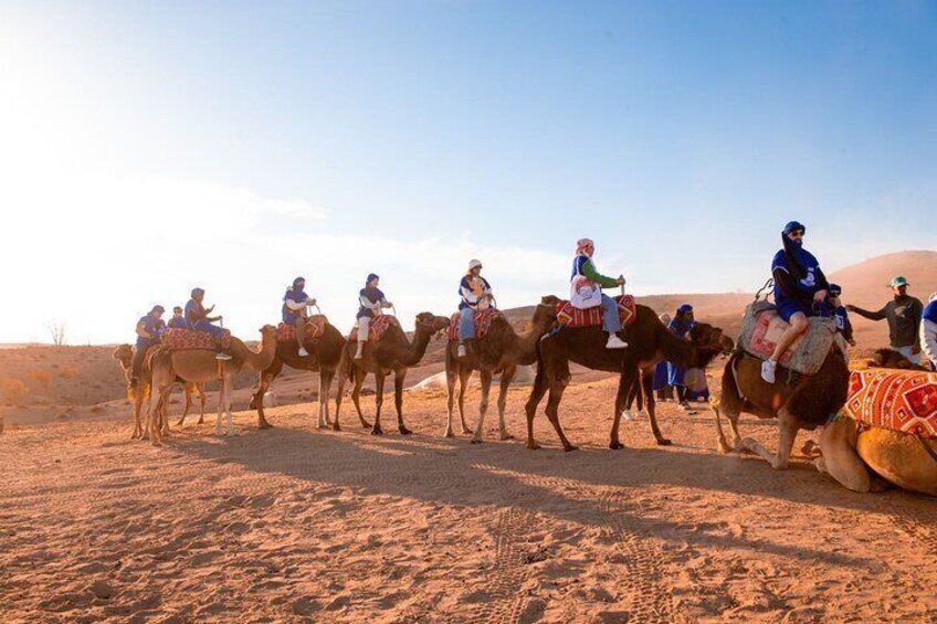 From Marrakech: Agafay Desert Camel Ride experience Dinner show
