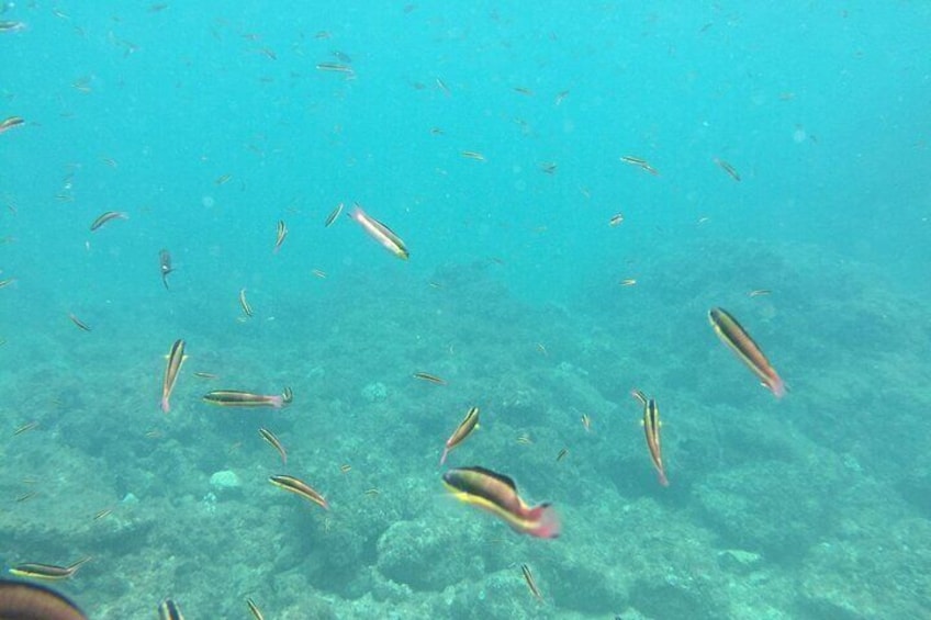 Curu Wildlife Refuge and Tortuga Island from Tambor 