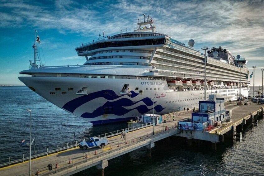 Punta Tombo ShoreTour for Princess Cruise passenger Puerto Madryn