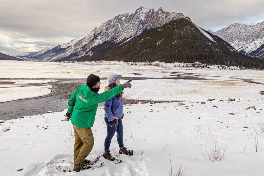 Secrets of Jasper Snowshoe Tour