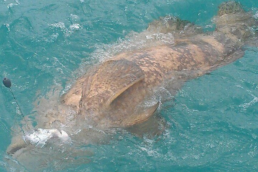 Private Fishing Charter Florida Keys