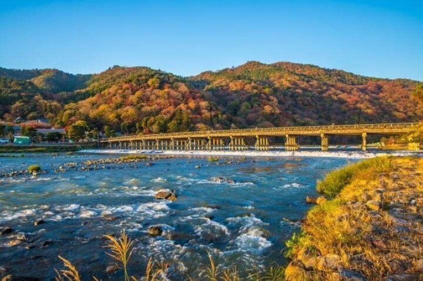 Osaka: Kyoto Scenic Day & Night Bus Tour with dinner (Kobe Beef)