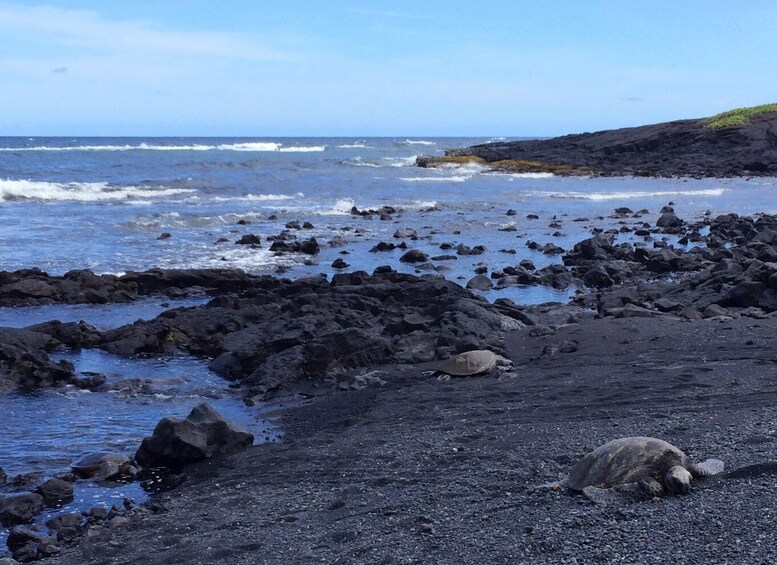 Picture 4 for Activity Big Island: Evening Volcano Explorer From Kona or Kohala