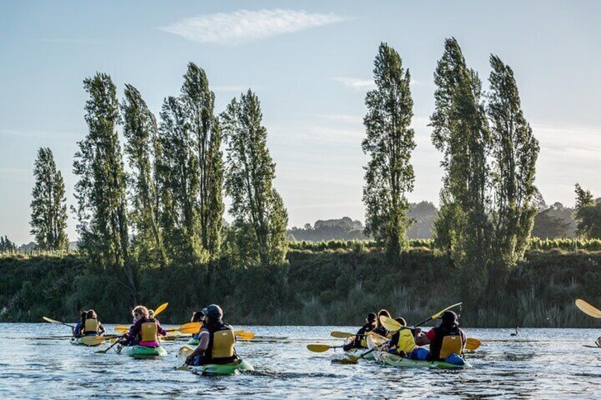 Daytime Canyon Kayak Tour