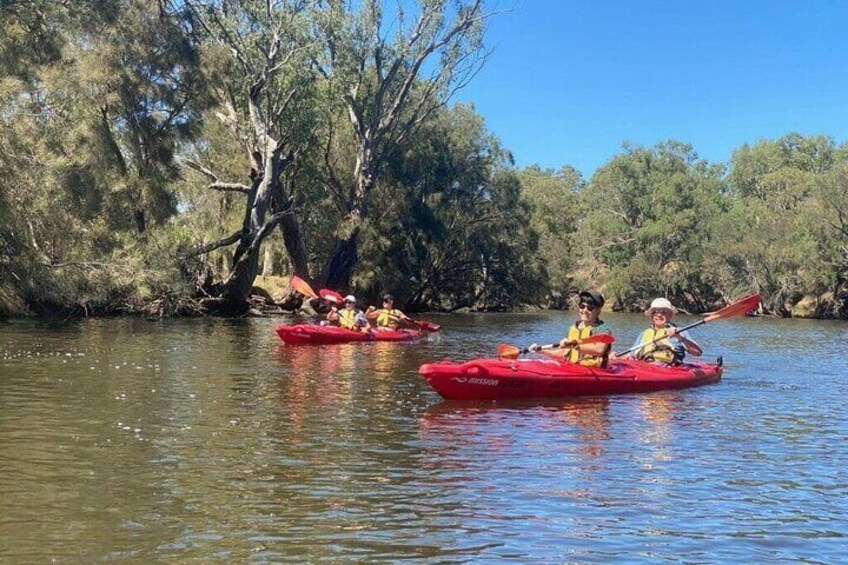 4 Hours Swan Valley Kayak, Wine & Dine Experience