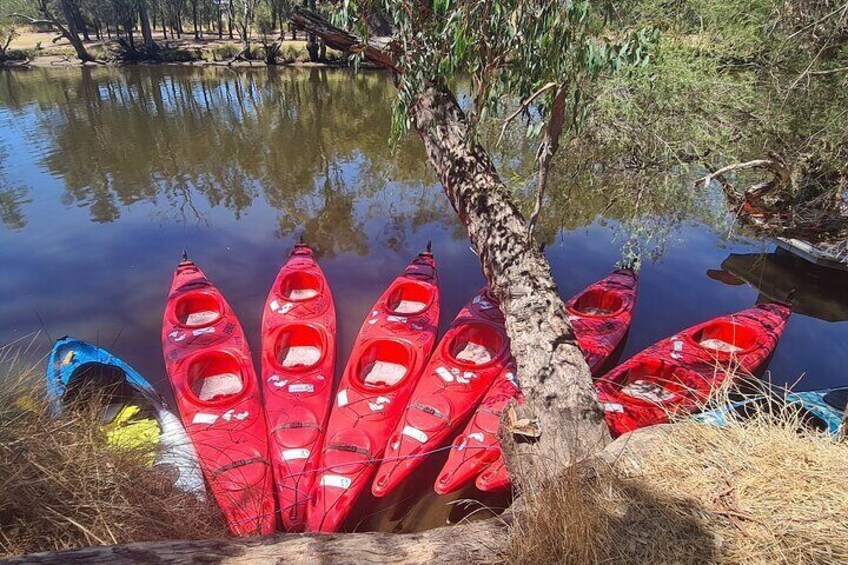 4 Hours Swan Valley Kayak, Wine & Dine Experience