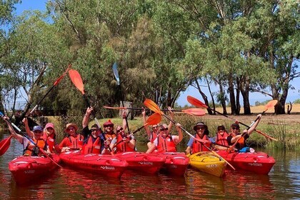 4 Hours Swan Valley Kayak, Wine & Dine Experience