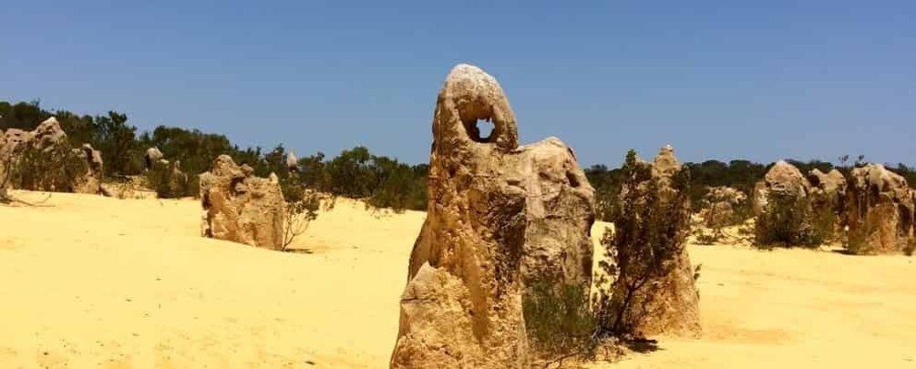 Picture 2 for Activity From Perth: Pinnacles Tour, Early Start, Avoid Crowds & Heat