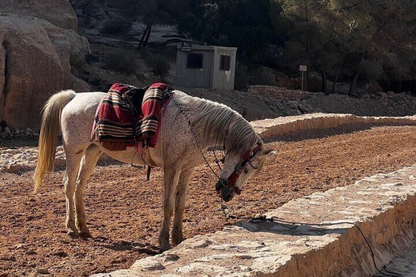Discover Petra Hidden Gems