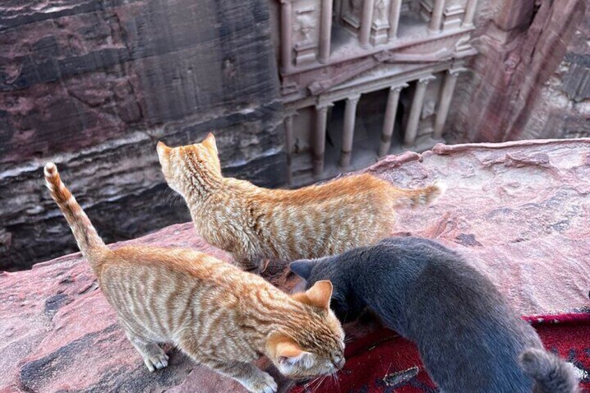 Discover Petra Hidden Gems