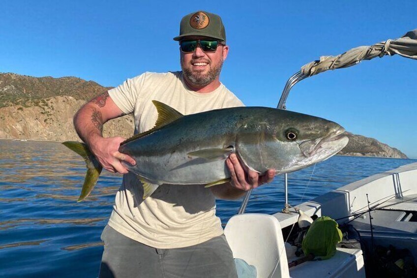Yellowtail