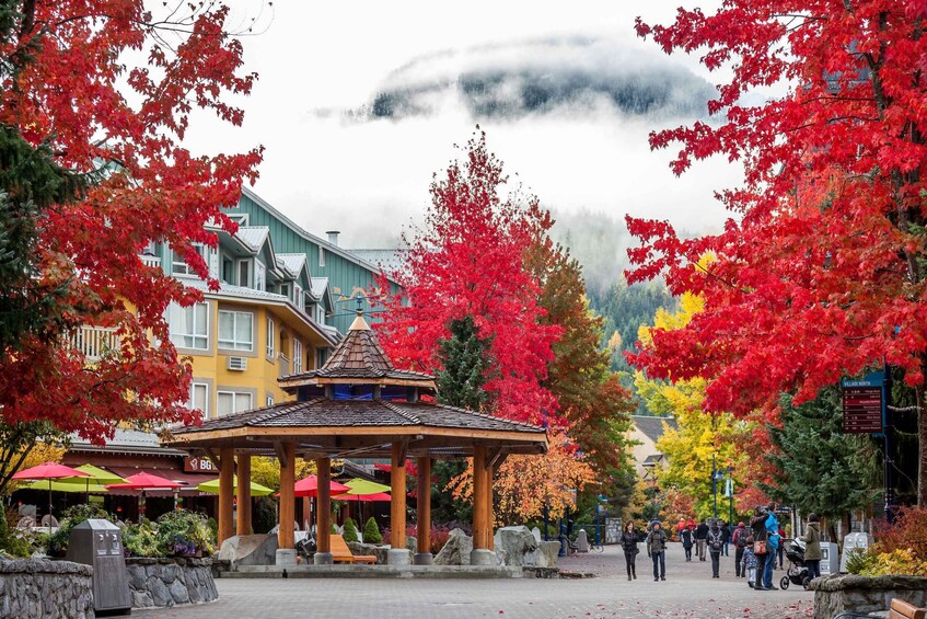 Picture 23 for Activity Banff: Uncover the Beauty of Western Canada (6-Days)