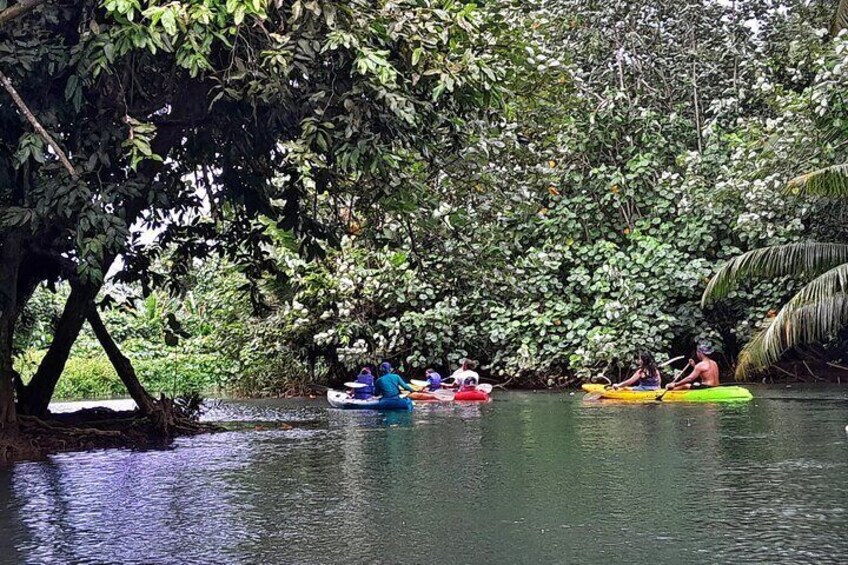 Discovery in Kayaking of the Faaroa River in Raiatea