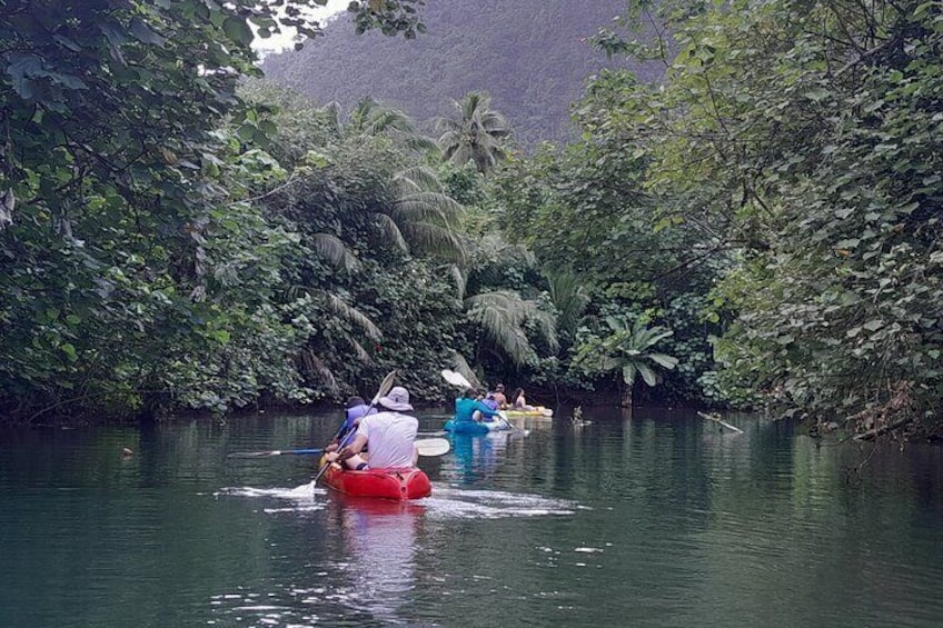 Discovery in Kayaking of the Faaroa River in Raiatea