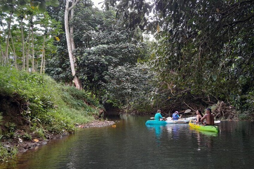 Discovery in Kayaking of the Faaroa River in Raiatea