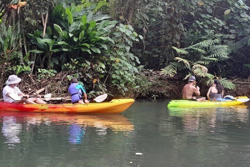 Discovery in Kayaking of the Faaroa River in Raiatea