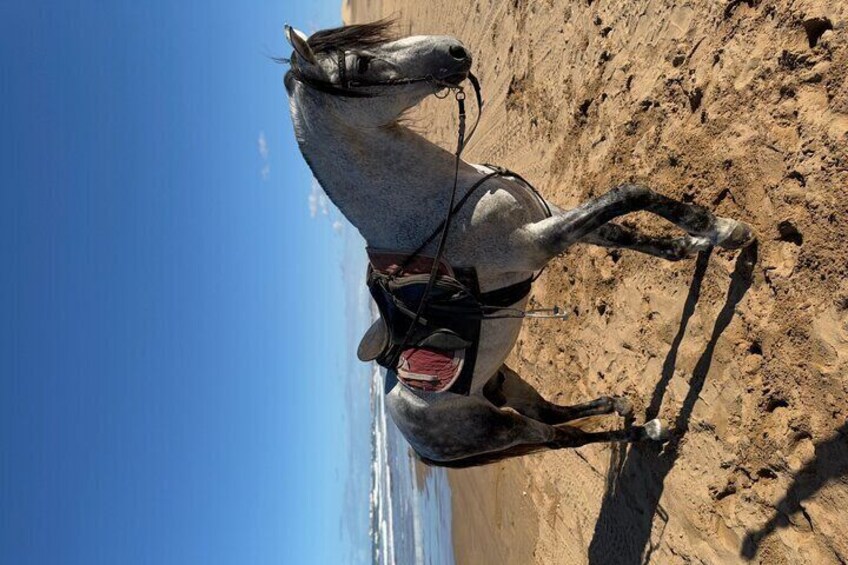 Enjoy the Beach
