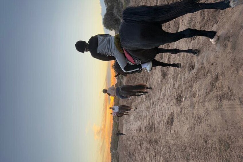 Horseback Riding On The Beach Of Essaouira 
