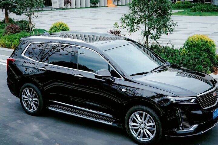 Xi'an Car Service: 1-2 Day Customizable Tour 