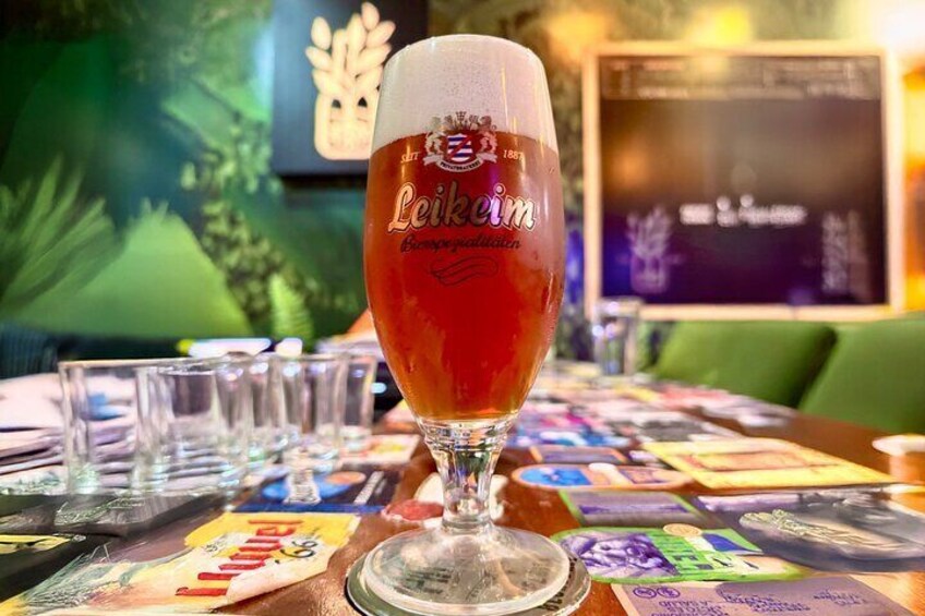 Beer and Snacks Crawl in Playa del Carmen