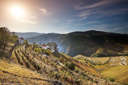 4×4 Douro Wine Tasting Private Tour