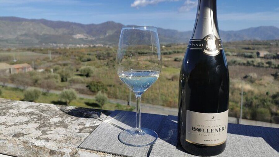 Castelmola and Etna Wine Tasting Tour from Messina