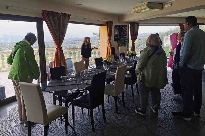 Castelmola and Etna Wine Tasting Tour from Messina
