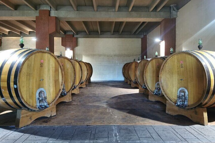 Castelmola and Etna Wine Tasting Tour from Messina