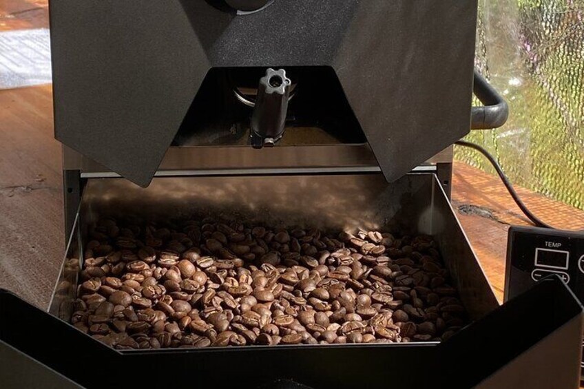 Freshly roasted coffee