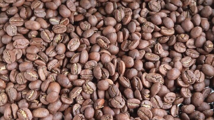 Freshly roasted beans