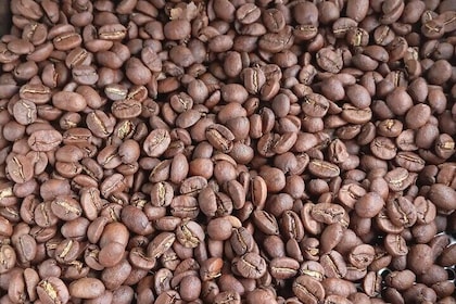 Experience Coffee Roasting in Bajo Boquete with Expert Guide