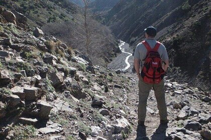 Epic Escape!Berber Day Out : Scenic Hike, Lunch & Mountain Views