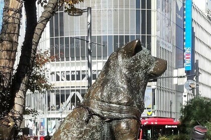 Tale of a Faithful Dog, Trivial Mystery Tour of Hachiko:aka Hachi