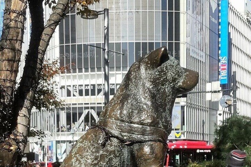 Hachi' s statue. The faithful dog in Japan ever. Although, location of the statue is not the original area.