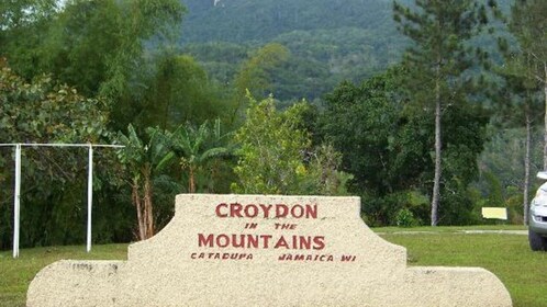 Croydon Plantation Tour