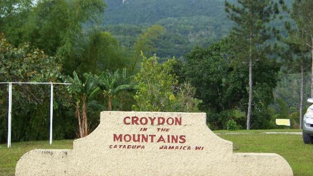 Croydon Plantation Tour