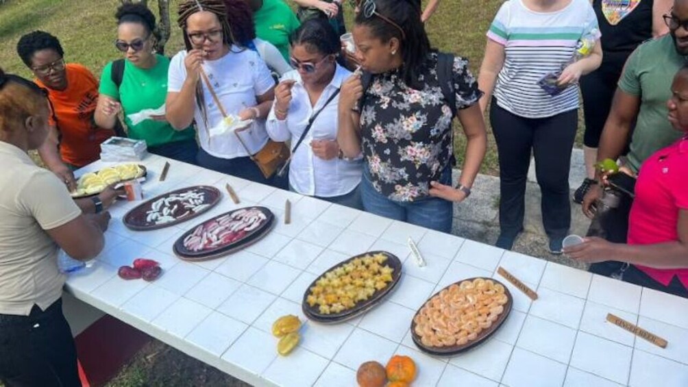 Croydon Plantation Tour