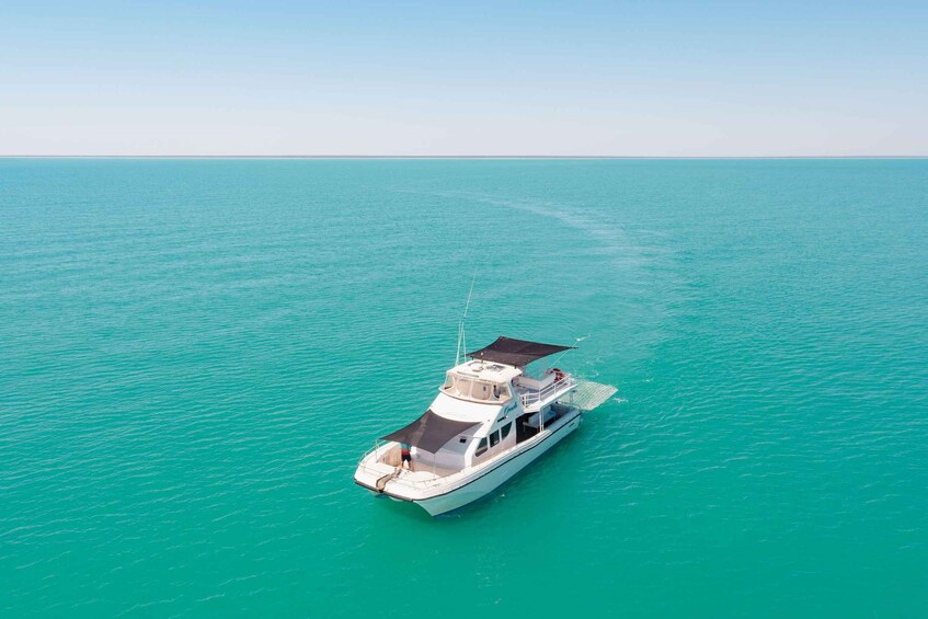 Picture 4 for Activity Broome: Whale Watching & Sunset Cruise