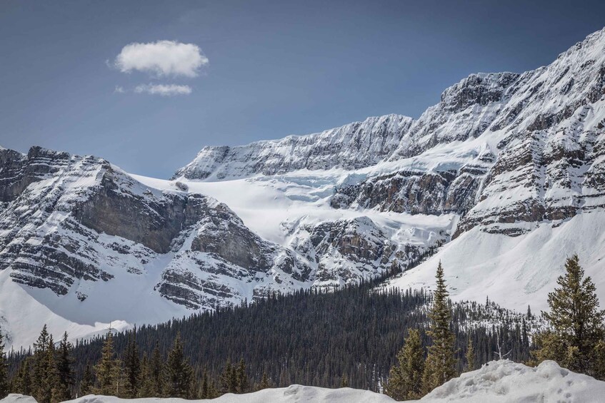 Picture 9 for Activity Banff: Discover the Best of the Rockies (8-Days)