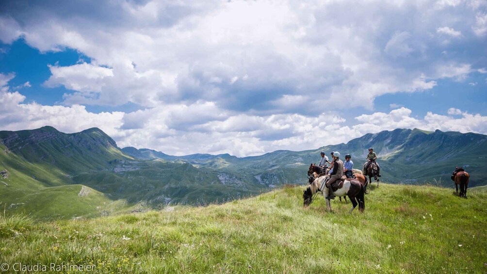 Picture 5 for Activity From Taormina or Messina: Private Horseback with Lunch