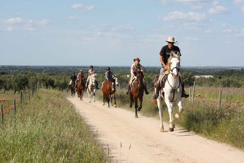 Picture 6 for Activity From Taormina or Messina: Private Horseback with Lunch